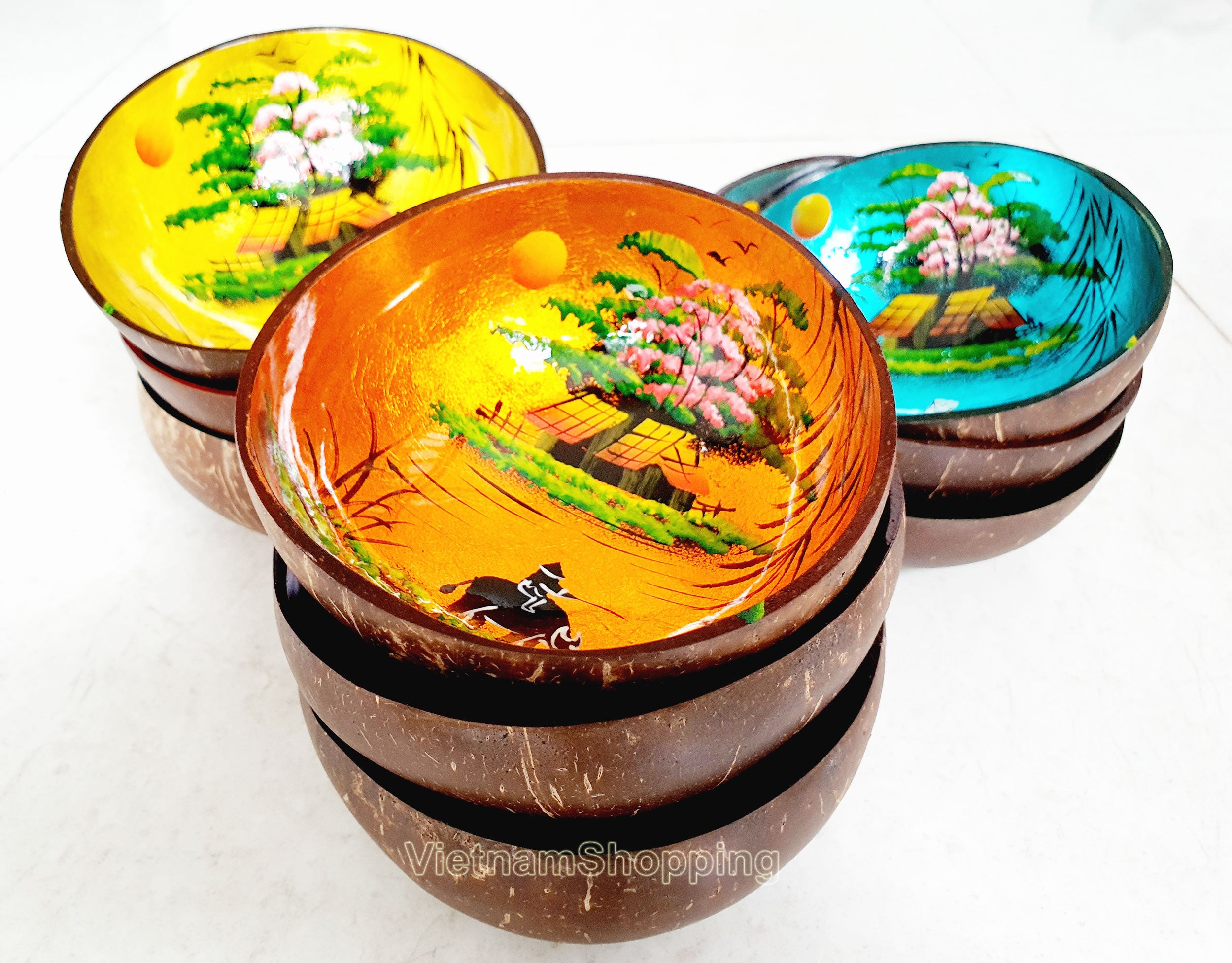 Handcrafted Coconut Bowl from Vietnam – Scenic Rural Design