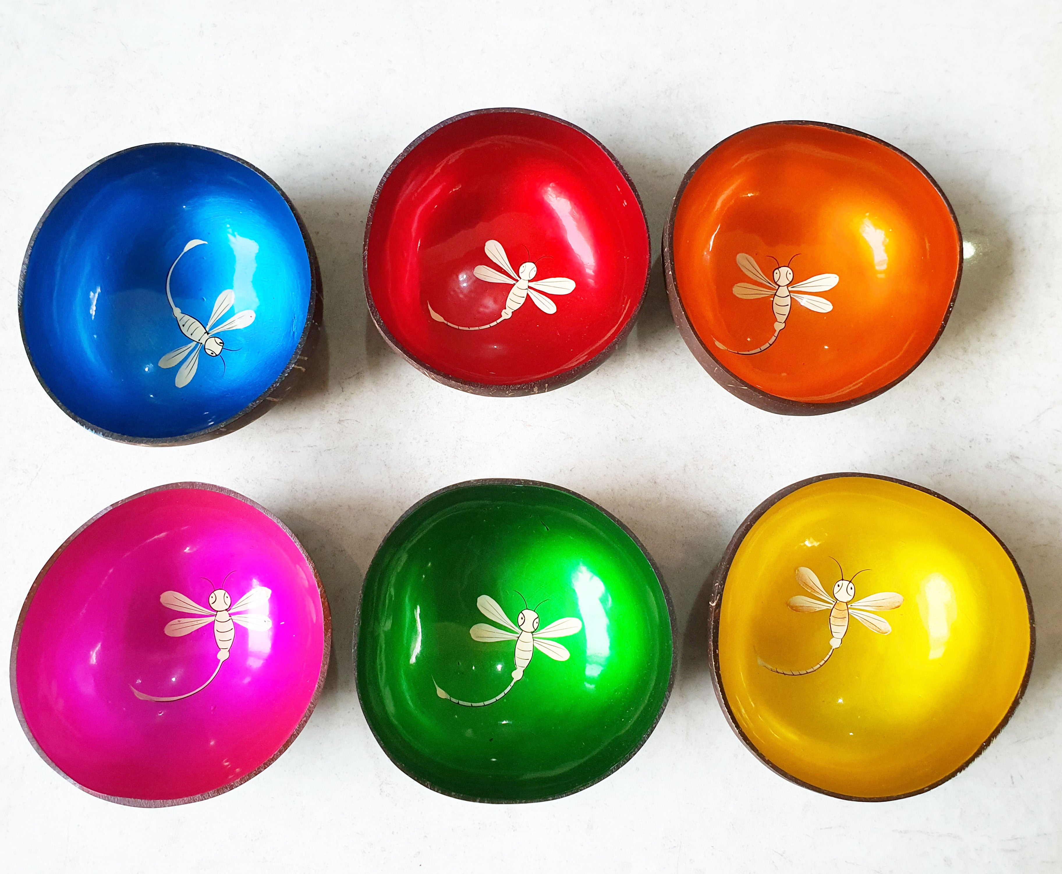 Eco Coconut Bowl with Beautiful Hand-Painted Landscape