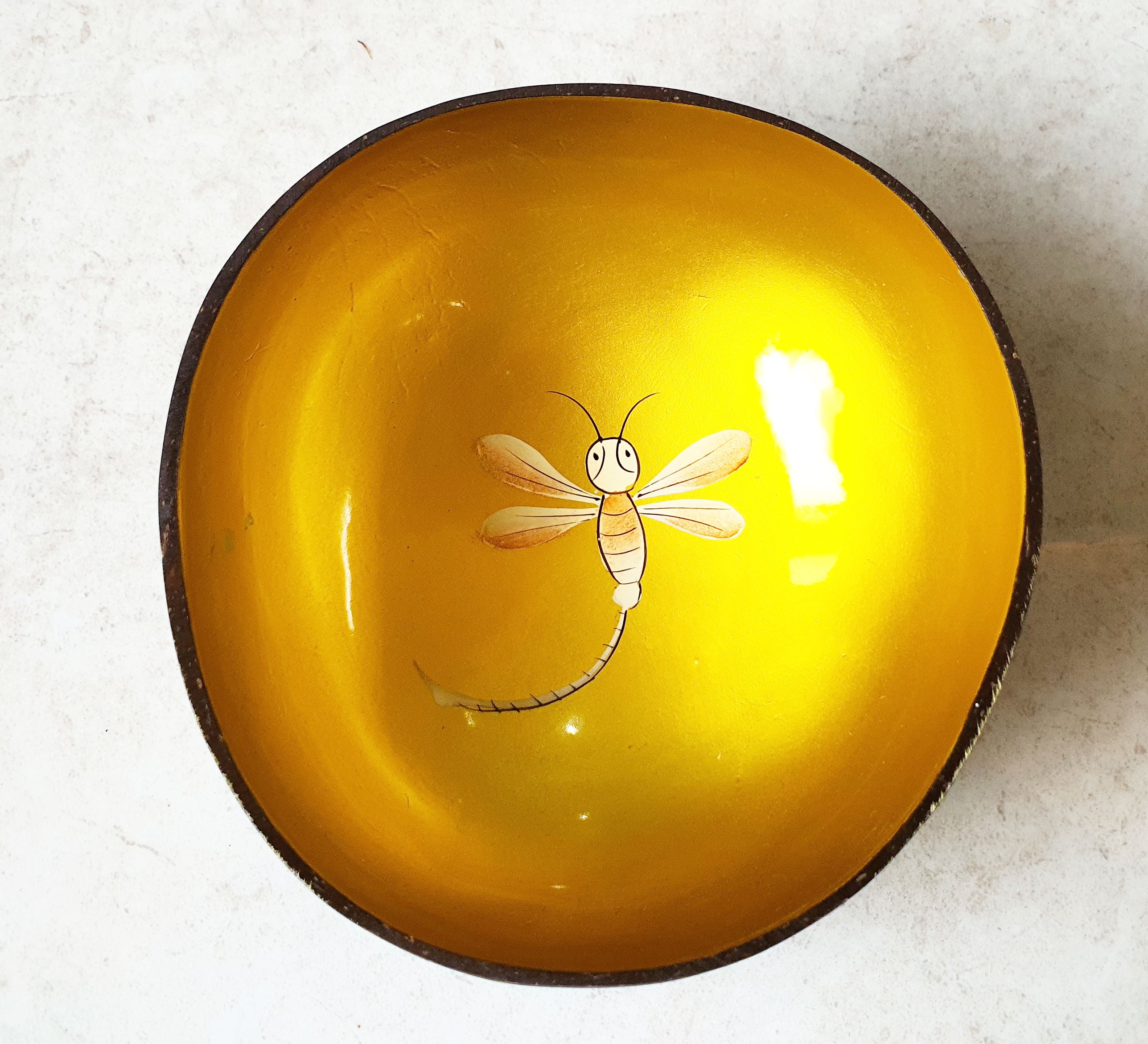 Eco Coconut Bowl with Beautiful Hand-Painted Landscape