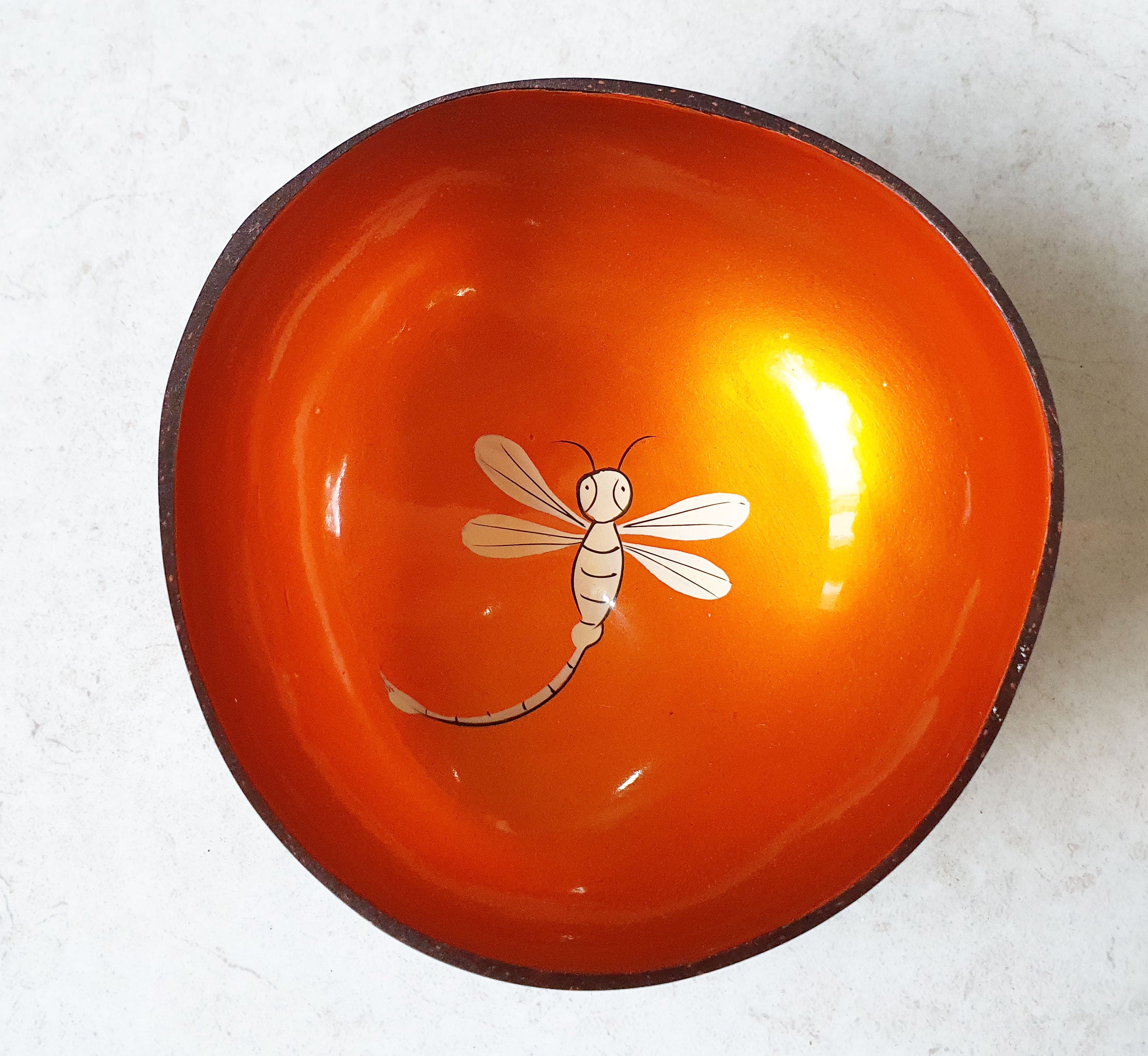 Eco Coconut Bowl with Beautiful Hand-Painted Landscape