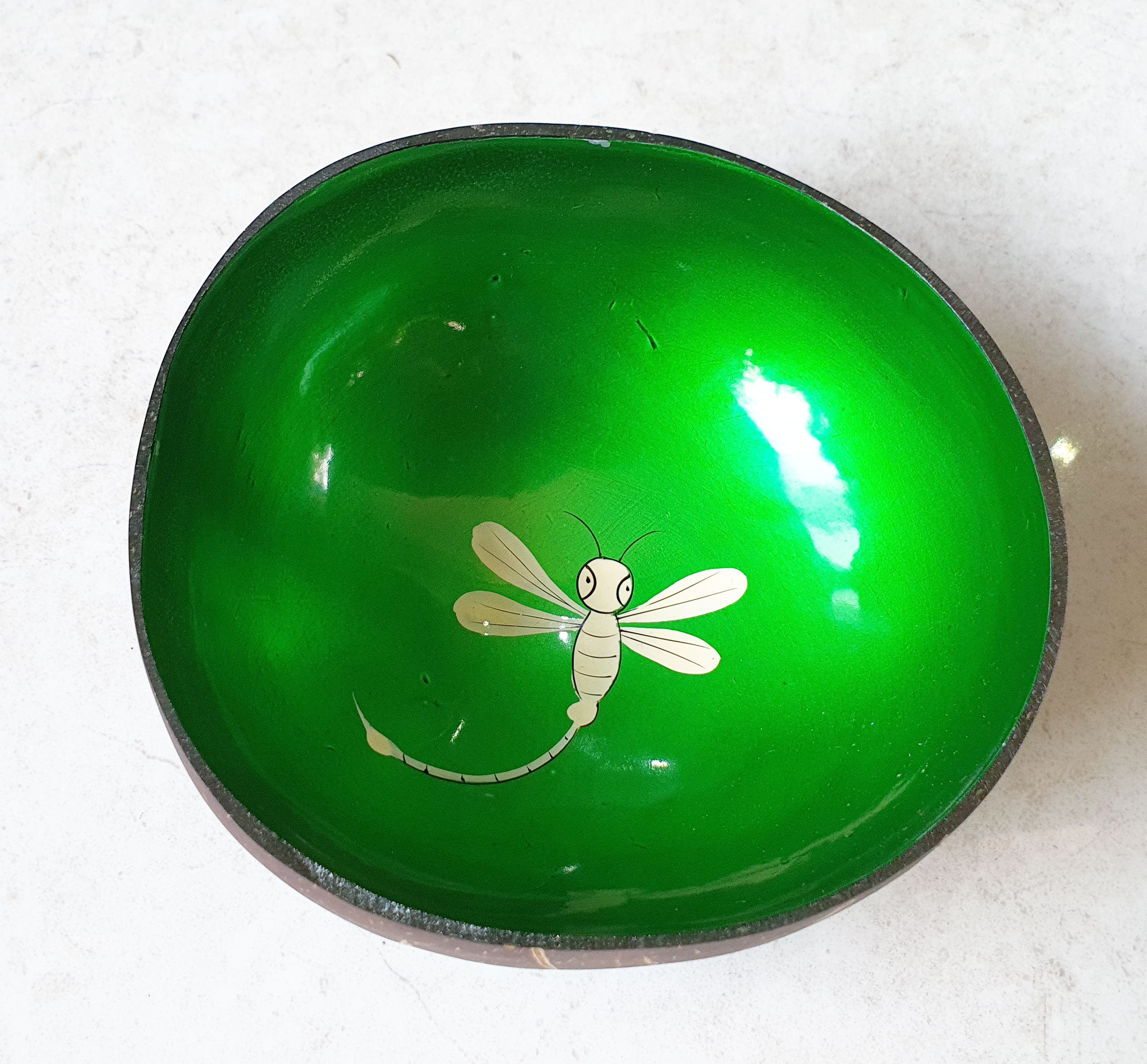 Eco Coconut Bowl with Beautiful Hand-Painted Landscape