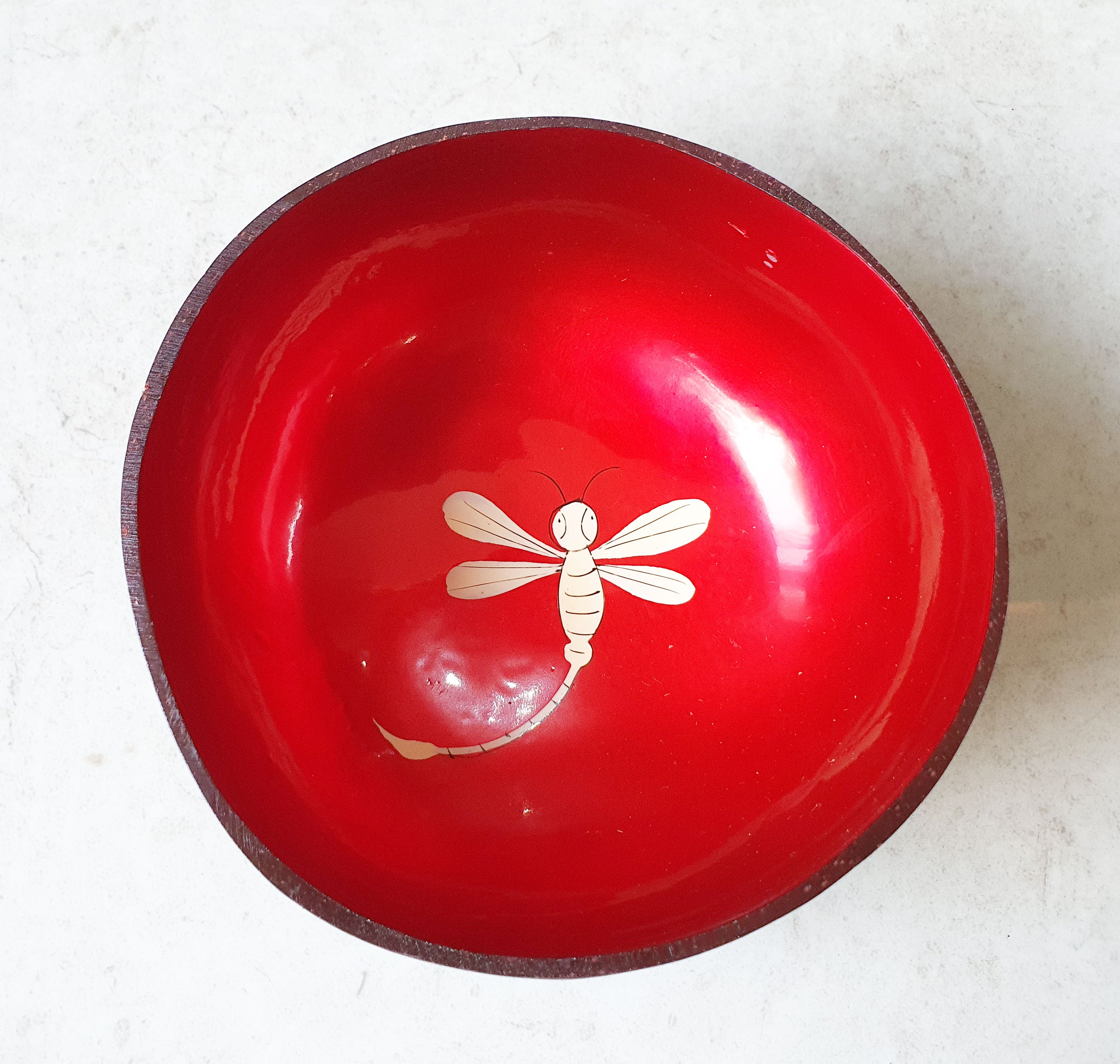 Eco Coconut Bowl with Beautiful Hand-Painted Landscape